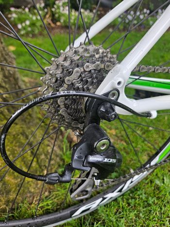 Tweedehands Specialized Dolce Comp Compact 2014 2014 Road & Gravel — afbeelding 6 van 7