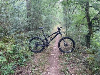 Used Mondraker Foxy Carbon R 2015 MTB