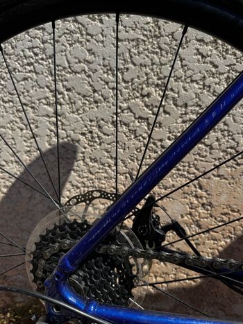 Used Trek Domane AL 2 Disc 2023 2023 Road & Gravel, Blue — image 4 of 7