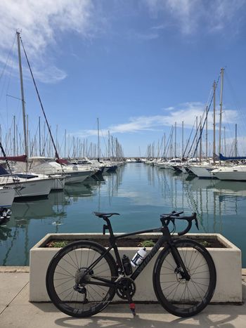 Used Specialized Roubaix Expert 2022 2022 Road & Gravel, Schwarz — image 3 of 4