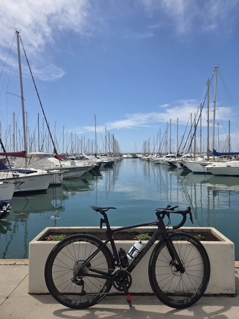 Used Specialized Roubaix Expert 2022 2022 Road & Gravel, Schwarz — image 3 of 4