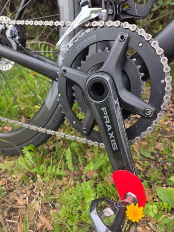 Used Specialized Roubaix Expert 2022 2022 Road & Gravel, Schwarz — image 4 of 4