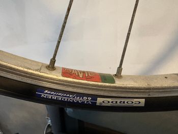 Used Koga Roadwinner 1980-1981 Vintage Steel Roadbike 1980 Road & Gravel, White — image 4 of 12