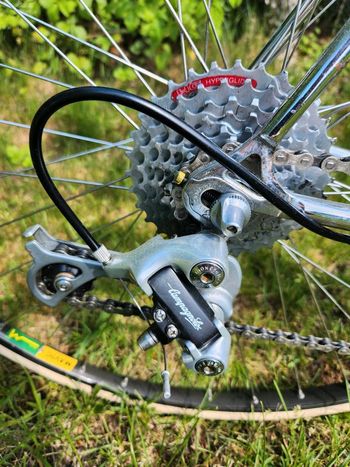 Used Colnago Master Campagnolo Athena 1987 Road & Gravel — image 9 of 19