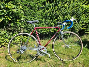 Used Colnago Master Campagnolo Athena 1987 Route & Gravel