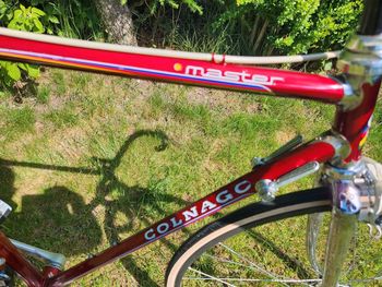 Used Colnago Master Campagnolo Athena 1987 Road & Gravel — image 2 of 19