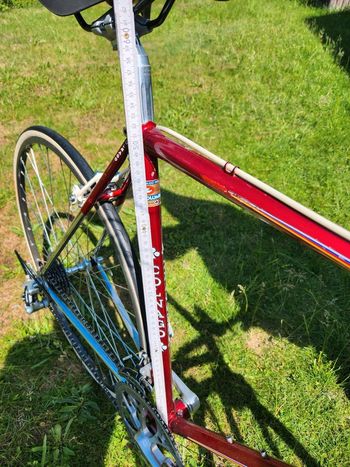Used Colnago Master Campagnolo Athena 1987 Road & Gravel — image 16 of 19
