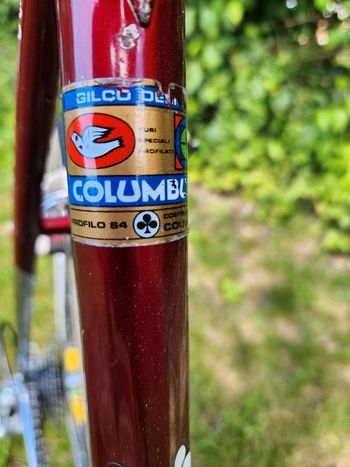 Used Colnago Master Campagnolo Athena 1987 Road & Gravel — image 12 of 19