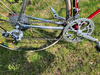 Used Colnago Master Campagnolo Athena 1987 Road & Gravel — image 14 of 19