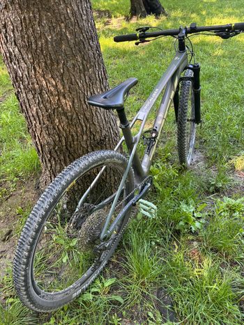 Used Trek Procaliber 9.5 Gen 3 2026 2026 Mountainbike, Green, 29 — image 2 of 3