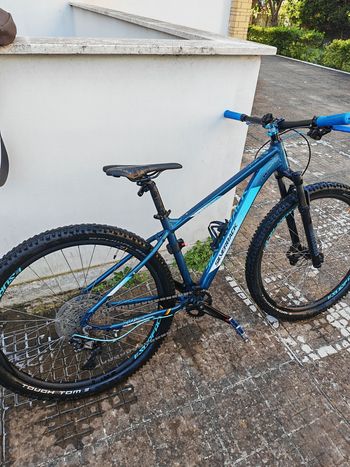 Used Silverback Splash Elite 2023 2023 MTB