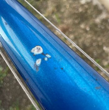 Used Colnago Colnago Custom Campagnolo Centaur 2004 Road & Gravel, Blu — image 25 of 29