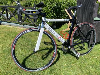 Used Red Bull (Rose) Red Bull (Rose) Custom Shimano Ultegra 2013 Road & Gravel, White — image 3 of 3