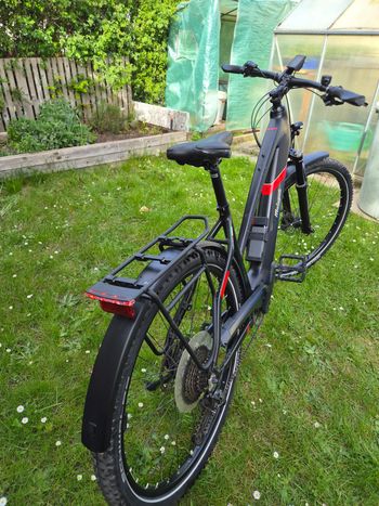 Used Malaguti Cortina Trt 5.2 2023 Urban, Schwarz — image 2 of 8