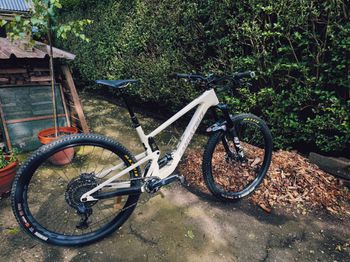 Used Santa Cruz Tallboy S / Carbon C / 29 2021 2021 Mountainbike, White, 29 — image 5 of 8