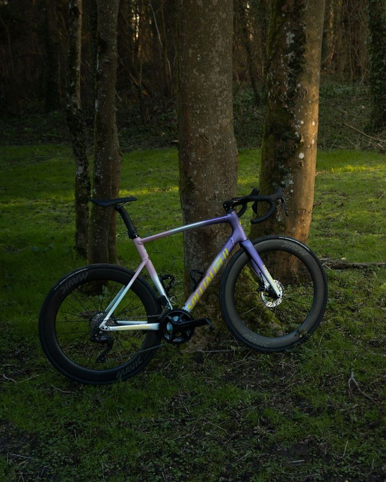 Used Specialized Allez Sprint Frameset - D'Aluisio Smartweld Alloy 2026 Frameset 2026 Road & Gravel — image 8 of 8