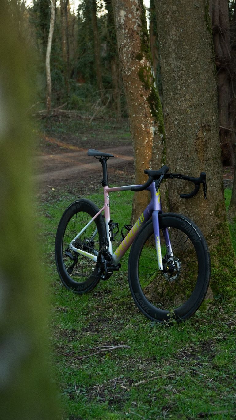 Used Specialized Allez Sprint Frameset - D'Aluisio Smartweld Alloy 2026 Frameset 2026 Road & Gravel — image 5 of 8