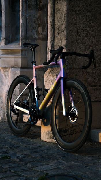 Used Specialized Allez Sprint Frameset - D'Aluisio Smartweld Alloy 2026 Frameset 2026 Route & Gravel