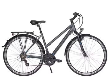 Used RIVERSIDE Trekkingrad 2015 Urban — image 3 of 3