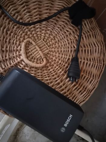 Used Stella Morena Urban — image 17 of 17