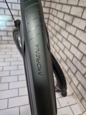 Used Stella Morena Urban — image 14 of 17