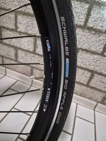 Used Stella Morena Urban — image 16 of 17