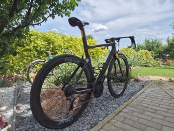 Used Colnago Concept 2020 2020 Road & Gravel, Black — image 4 of 14