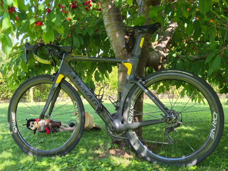 Used Colnago Concept 2020 2020 Road & Gravel, Black — image 3 of 14