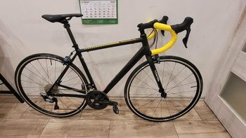 Used Canyon Endurace AL 8.0 2019 2019 Route & Gravel