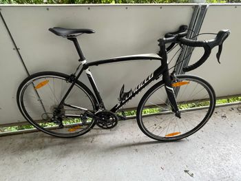 Used Specialized Allez E5 Sport 2016 2016 Road & Gravel