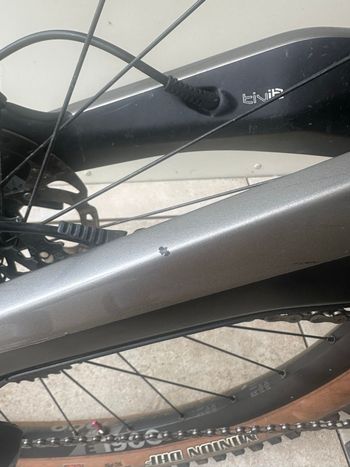 Used Marin Wolf Ridge 8 2019 2019 Mountainbike — image 6 of 14
