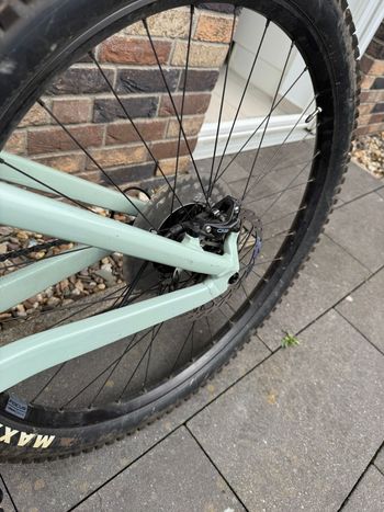 Used Focus JAM 6.8 2024 2024 Mountainbike, Verde — image 4 of 8