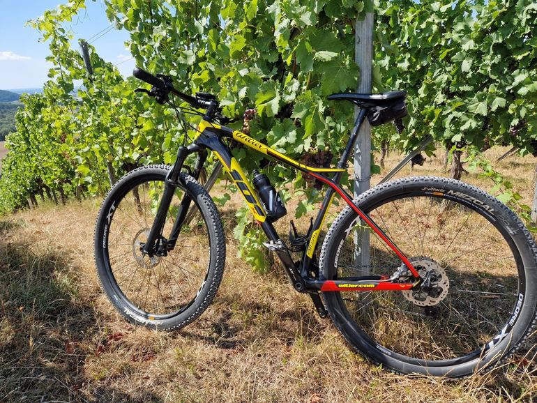 Used Wilier Wilier Triestina 101X Carbon Mountainbike 29" | Shimano XT | 1. Hand 2019 Mountainbike — image 5 of 11