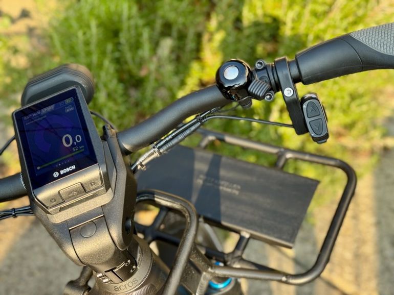 Used Riese & Müller Delite GT rohloff 2022 2022 Urban, Hellgrau — image 12 of 13