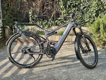Used Riese & Müller Delite GT rohloff 2022 2022 Urban, Hellgrau — image 2 of 13