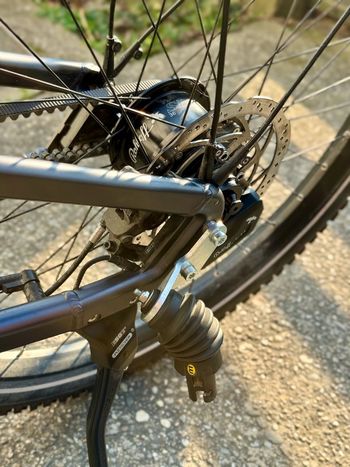 Used Riese & Müller Delite GT rohloff 2022 2022 Urban, Hellgrau — image 9 of 13