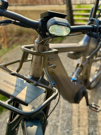 Used Riese & Müller Delite GT rohloff 2022 2022 Urban, Hellgrau — image 10 of 13