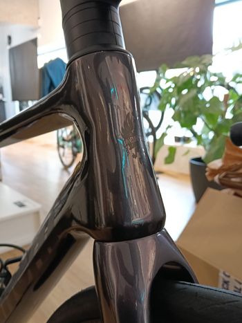 Used Bianchi Infinito 105 2024 2024 Road & Gravel, Purple — image 6 of 11