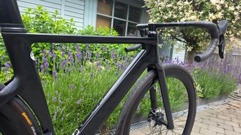 Used Canyon Aeroad CF SLX 7 AXS 2024 2024 Road & Gravel, Black — image 3 of 18