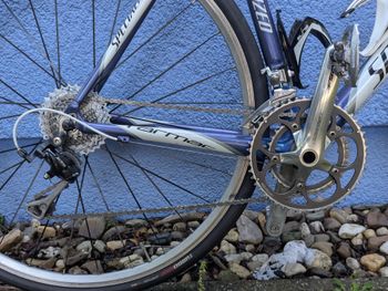 Used Specialized Tarmac Elite Mid-Compact 2012 2012 Road & Gravel, Blue — image 2 of 14