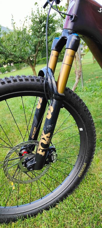 Used Specialized Specialized Turbo Levo S-Works 4 2026 Mountainbike — image 17 of 26