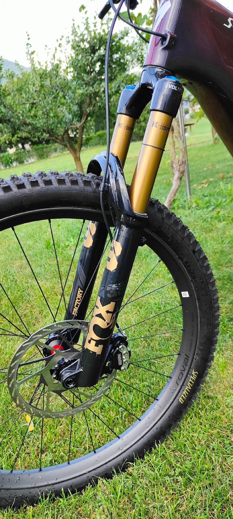Used Specialized Specialized Turbo Levo S-Works 4 2026 Mountainbike — image 17 of 26