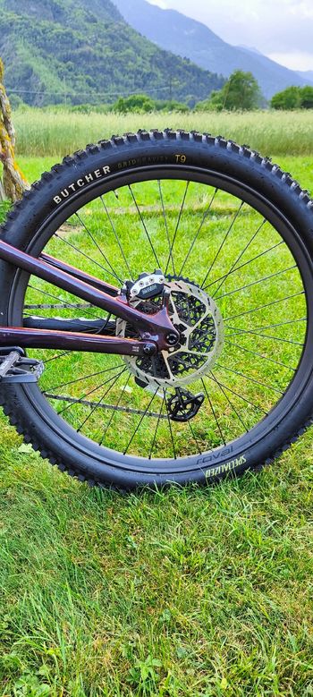 Used Specialized Specialized Turbo Levo S-Works 4 2026 Mountainbike — image 20 of 26