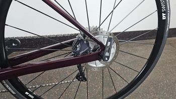 Used Canyon Endurace CF SL 8 WMN Disc 2022 2022 Road & Gravel — image 7 of 23
