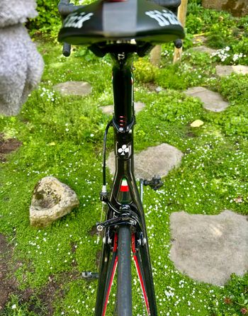 Used Colnago Colnago C60 Super Record RS (limited) Lightweight Standard 2015 Road & Gravel — image 12 of 20