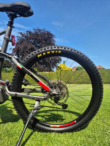 Used Malaguti Malaguti Custom Shimano Deore XT 2023 Mountainbike — image 11 of 12