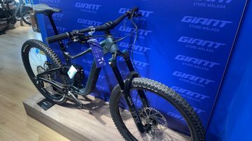 Used Giant Reign 1 2024 2024 Mountainbike, Light Gray, 29 — image 3 of 6