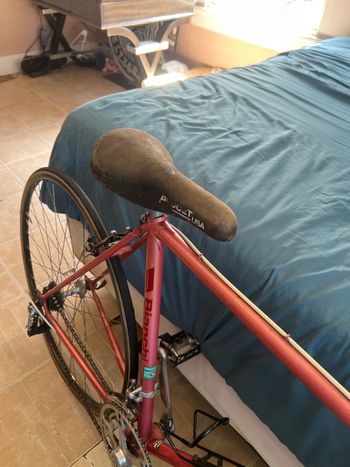 Used Bianchi Bianchi Custom Other Campagnolo 1984 Road & Gravel, Red — image 6 of 8