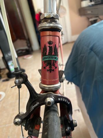 Used Bianchi Bianchi Custom Other Campagnolo 1984 Road & Gravel, Red — image 8 of 8
