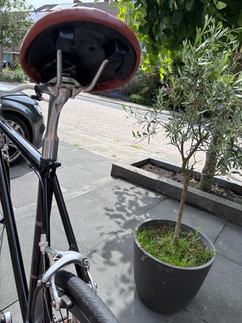 Used Batavus Batavus Custom 2014 Urban, Negro — image 15 of 15